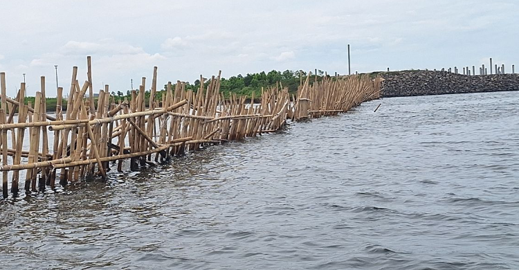 Selama Ini Siapa Dalang di Balik Pelaku Pagar Laut Jakarta